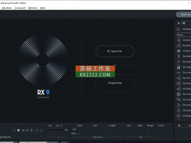 降噪 iZotope RX 9 Audio Editor