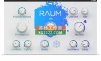 混响 Native Instruments Raum v1.2.2