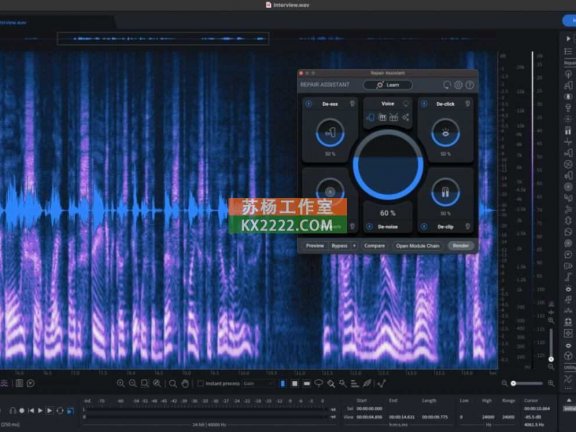 iZotope RX 10 Audio Editor Advanced v10.0.0-R2R